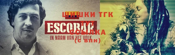 прущие грибы Балахна