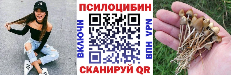Галлюциногенные грибы мицелий  Саянск 